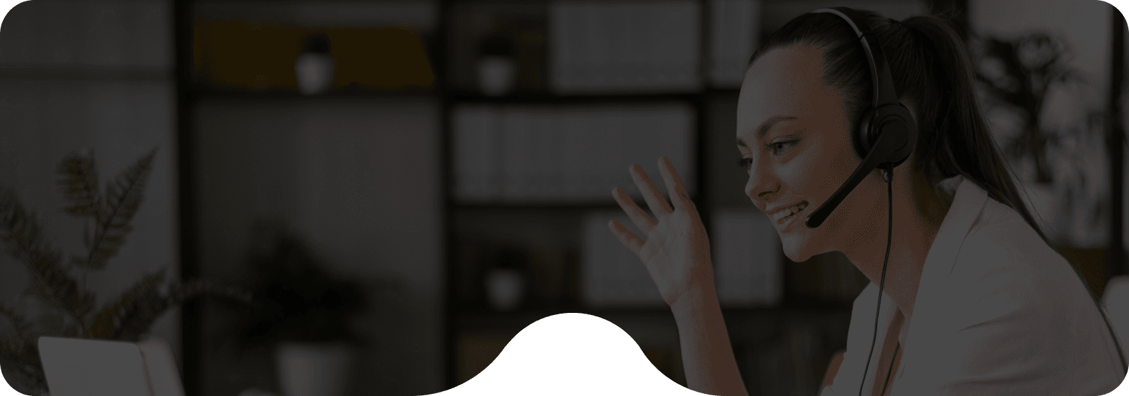 Page banner
